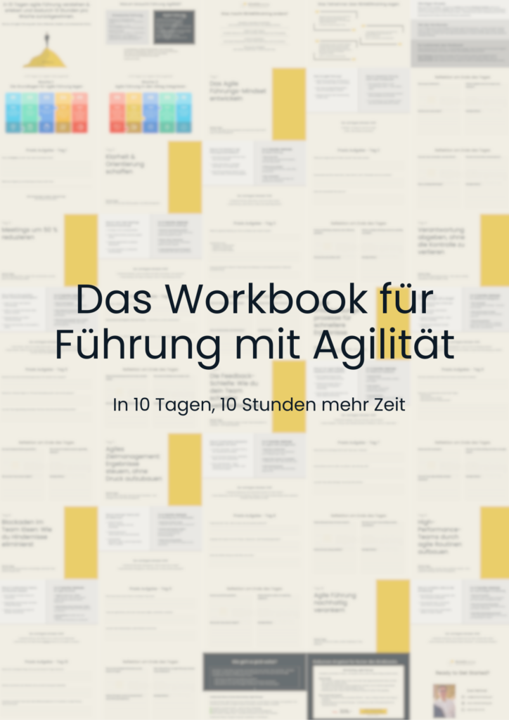 Das Workbook zur Führung mit Agilität, Cover Bild.